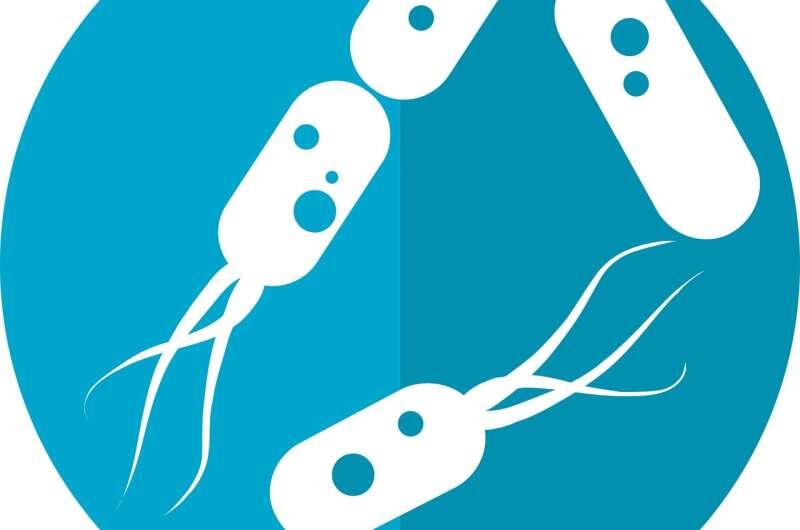 Учёные нашли скрытый микробный фактор, запускающий диабет и ожирение печени