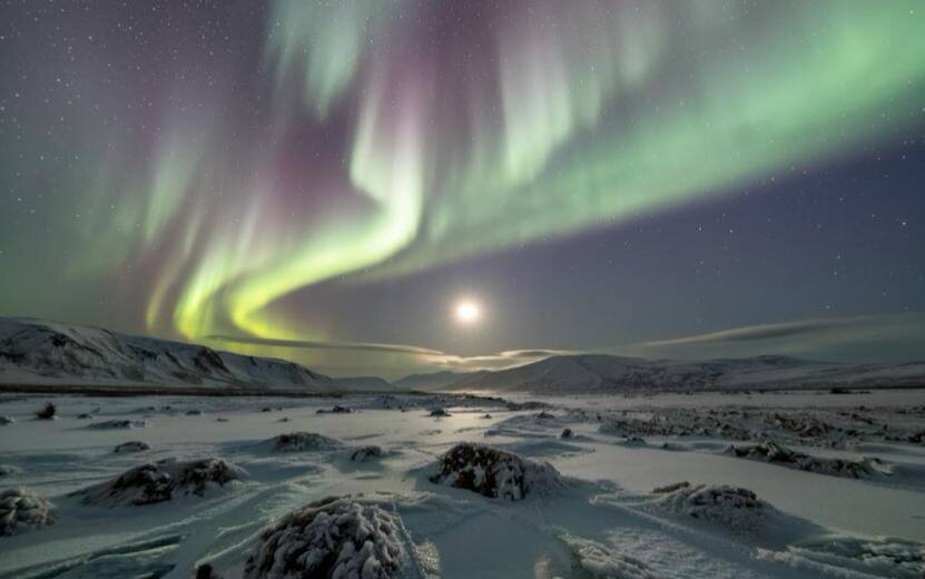    Гороскоп по дате рождения на день – 13 сентября: Львам пригодится мудрость, а Рыбам – вера в себя