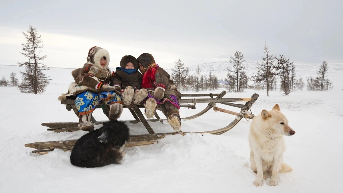    Фото: longtaildog / shutterstock.com / Fotodom