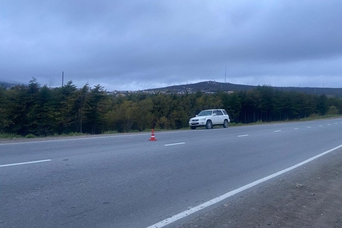    Фото: Госавтоинспекция Магаданской области, источник: t.me/s/gibdd_49