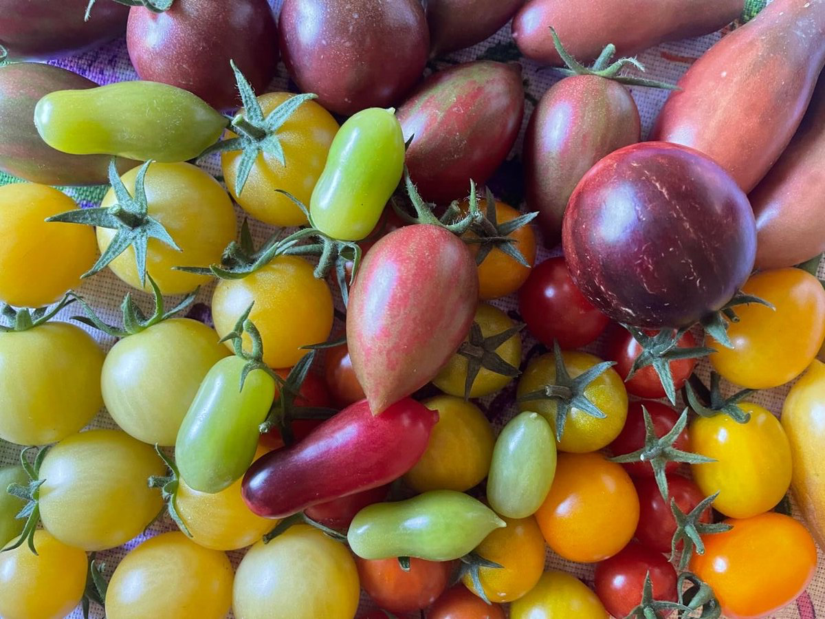 Фото автора. Сезон 2025