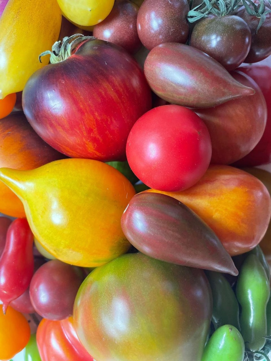 Фото автора. Сезон 2025