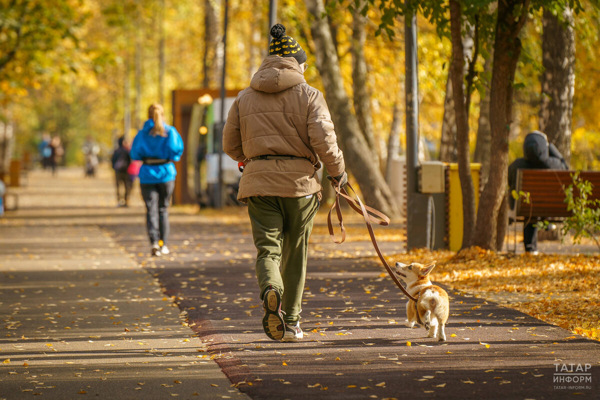 Фото: © Владимир Васильев / «Татар-информ»