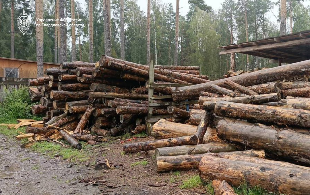     Фото: УФСБ по Свердловской области