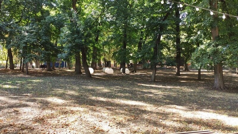      Фото: ИА «Победа26»