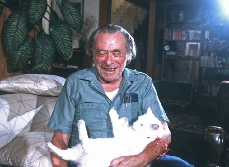 Кошки спасают! Чарльз Буковски знал секрет вечной жизни🐱📚