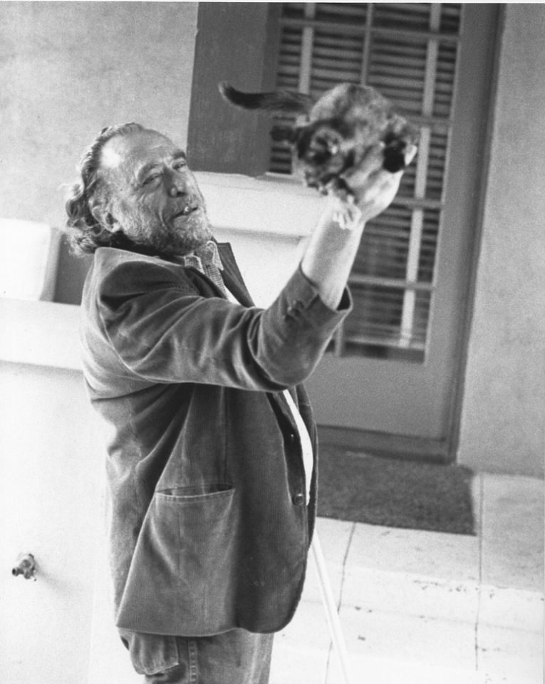 🐱«Если вам плохо — просто смотрите на кошек. Они всё понимают. Они — спасители»