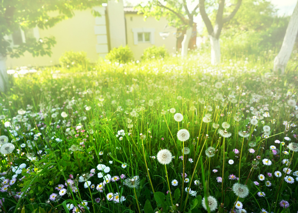 Источник фото shutterstock.com