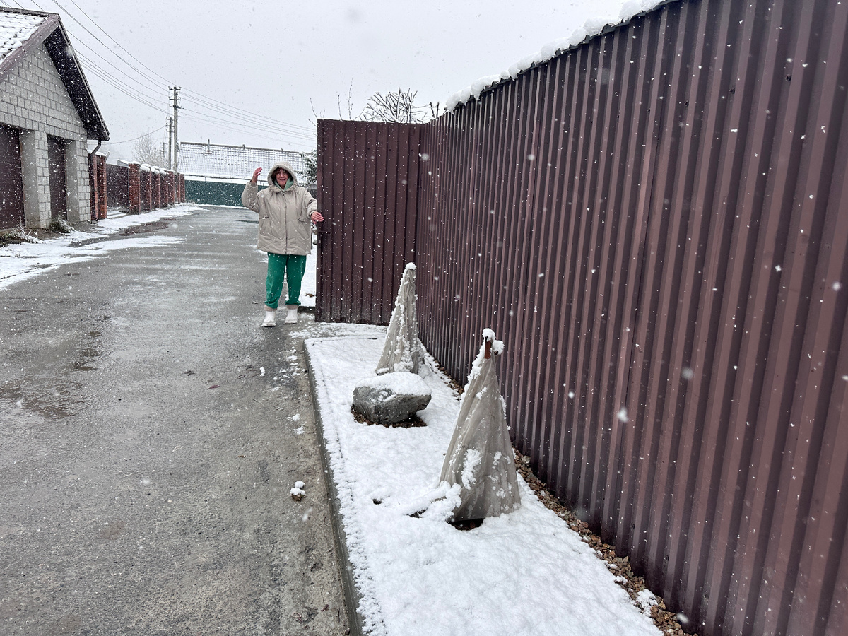 Вот так выглядит типичное зазаборье в нашем СНТ