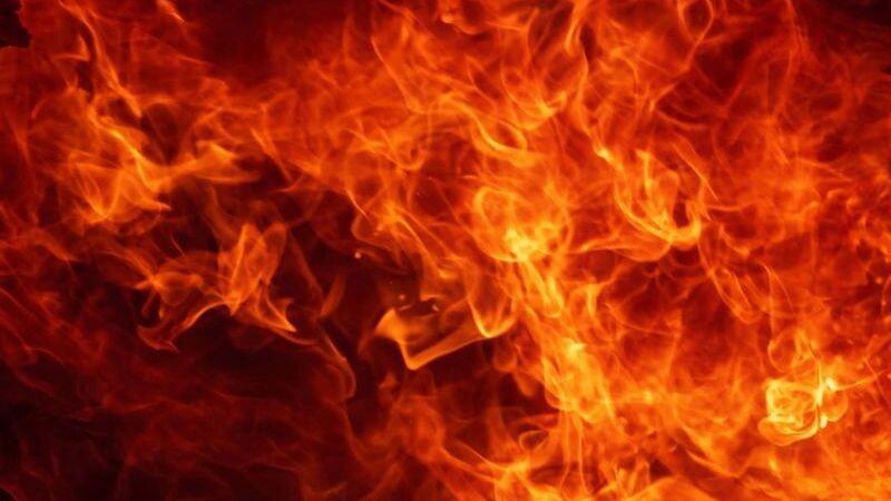    Фото: afotostock/Shutterstock/Fotodom