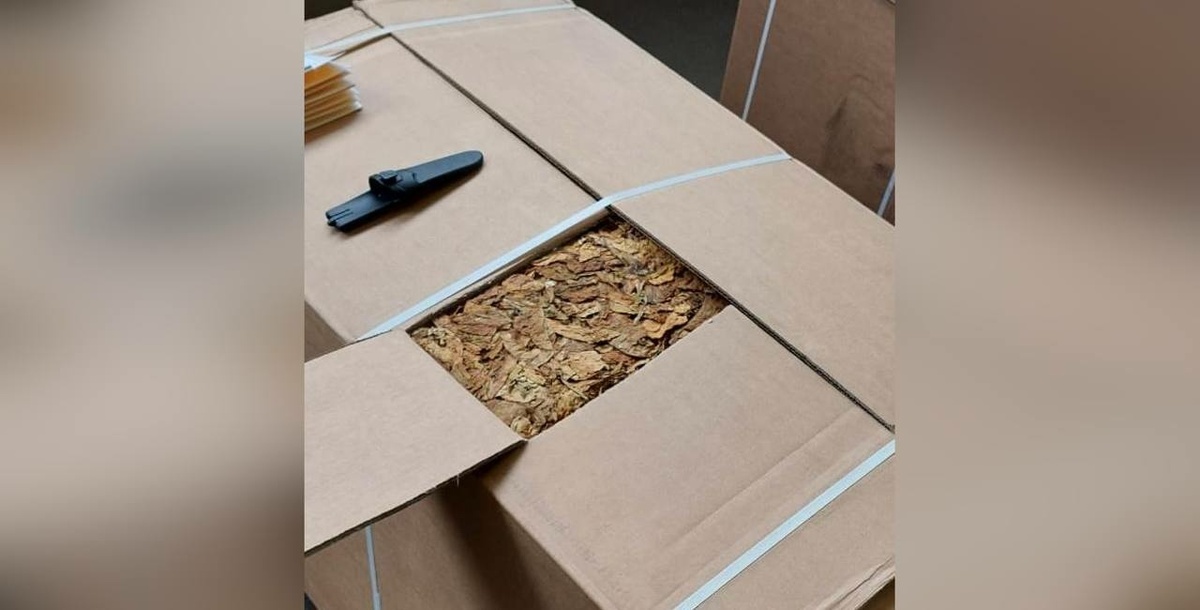 Фото: пресс-служба Северо-Западного межругионального управления Федеральной службы по ветеринарному и фотосанитарному надзору