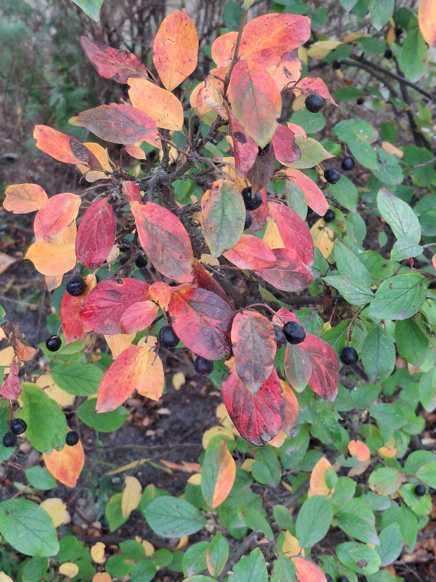 Фотография сделана автором