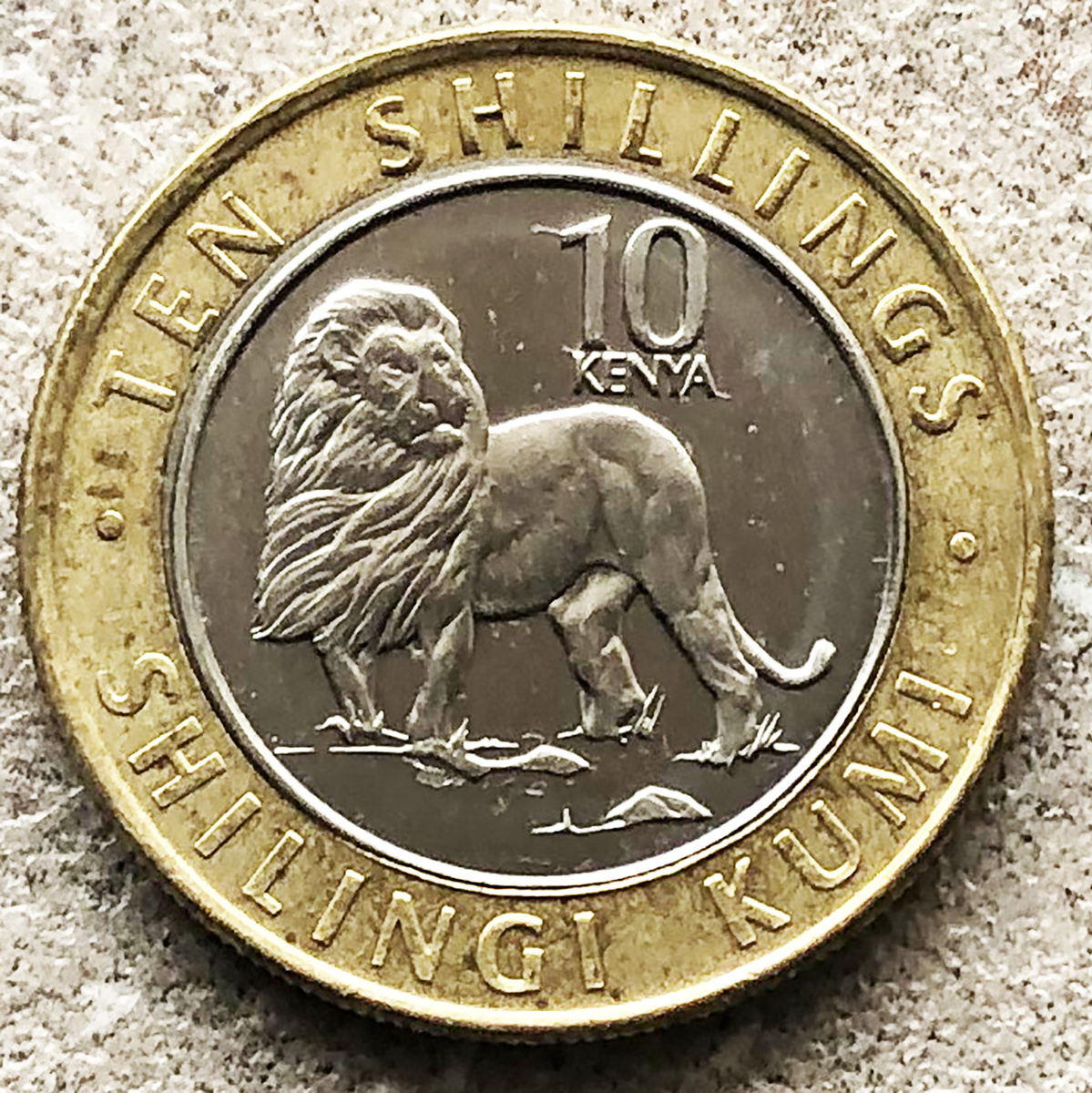 Кения 10 шиллингов 2018 Африканский Лев. Фото автора.
