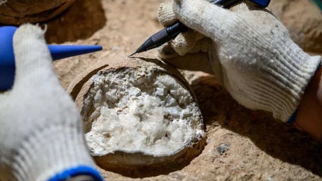 Найдены яйца динозавров возрастом 85 миллионов лет: о чем они расскажут ученым