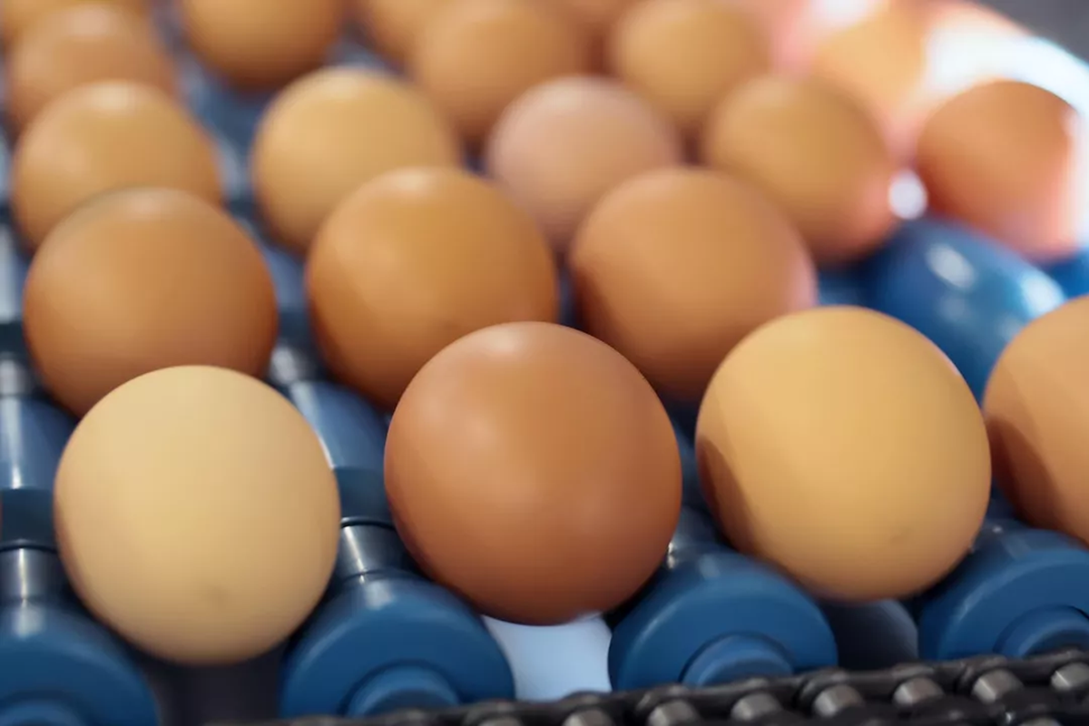    Фото: Виталий Белоусов, источник: РИА Новости