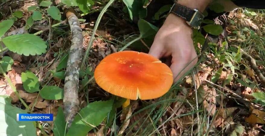    Источник фото: