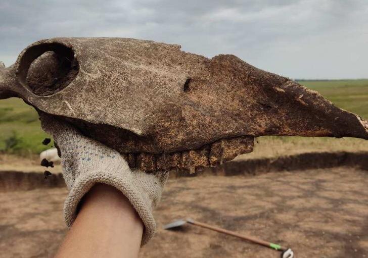    Фото: личный архив автора материала