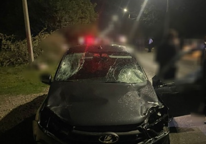 Фото: ГУ МВД по Краснодарскому краю