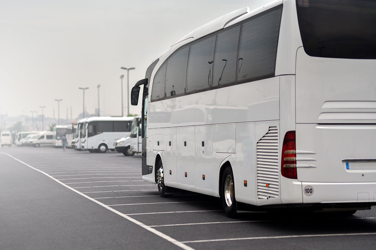    Фото: Alexfan32 / Shutterstock.com