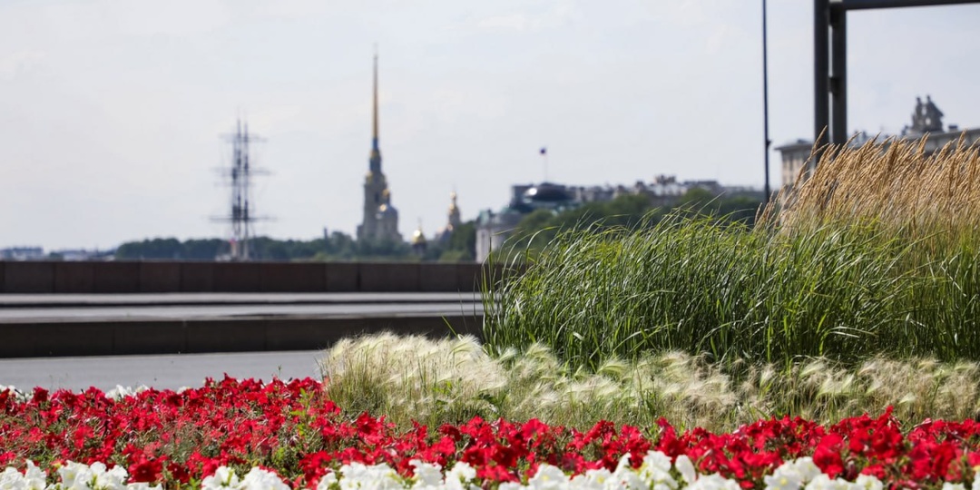 Август продолжается: бабье лето останется в Петербурге до середины сентября, в Москве – погодные рекорды