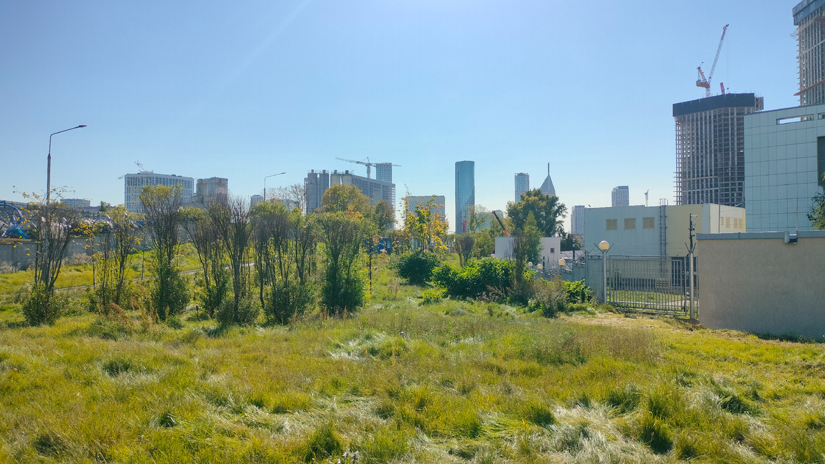 Молодые посадки и небольшая поляна на месте железнодорожных путей. Вид в сторону МЦК