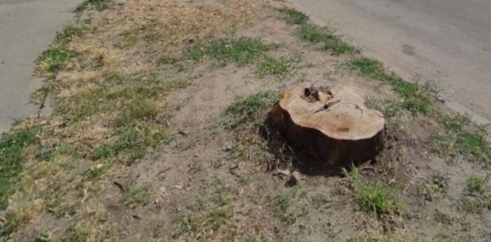 Иллюстрация: © «Панорама»