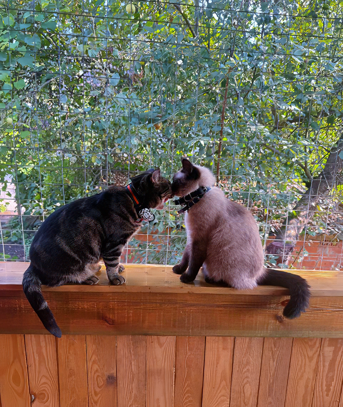 Кайса и Ника незадолго до случившегося