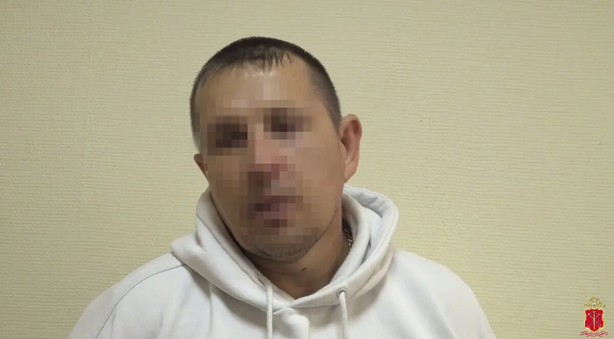    Фото: скриншот из видео пресс-службы ГУ МВД России по Петербургу и Ленобласти.