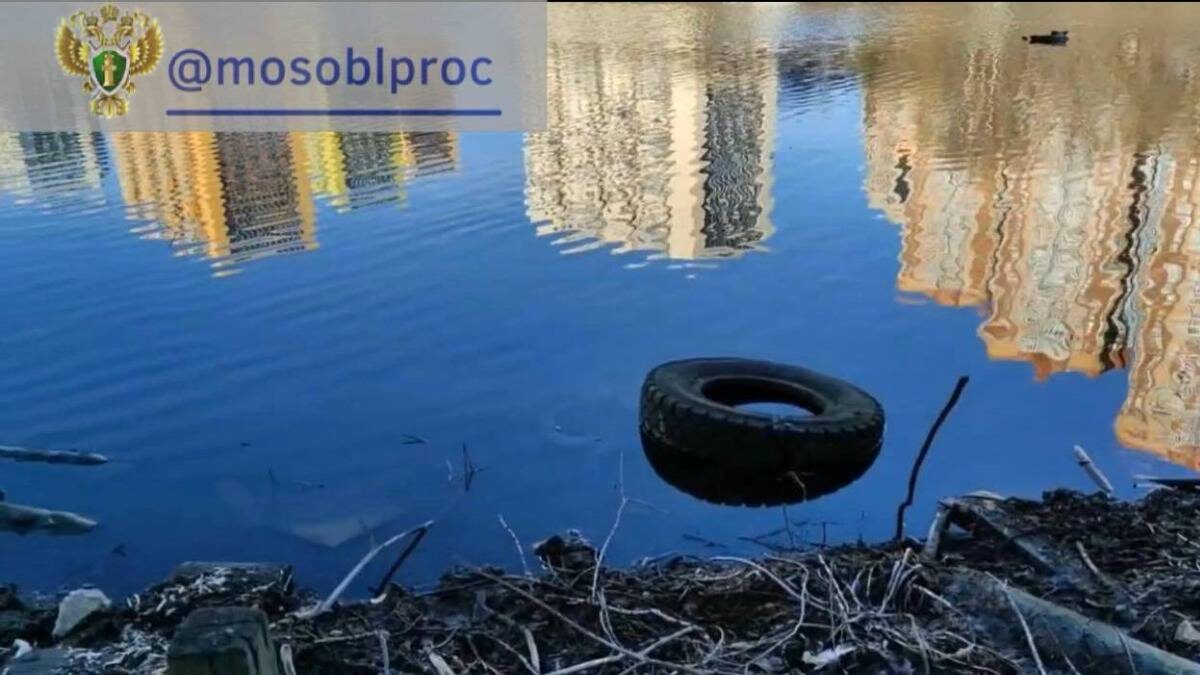    Фото: Прокуратура Московской области