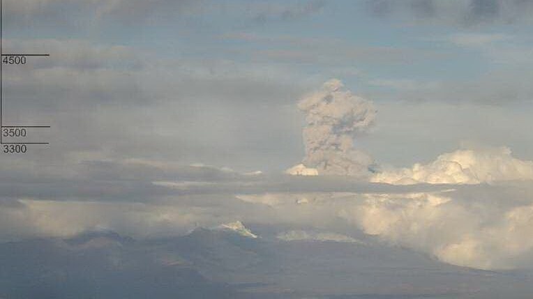    Фото: KVERT ИВиС ДВО РАН / Telegram