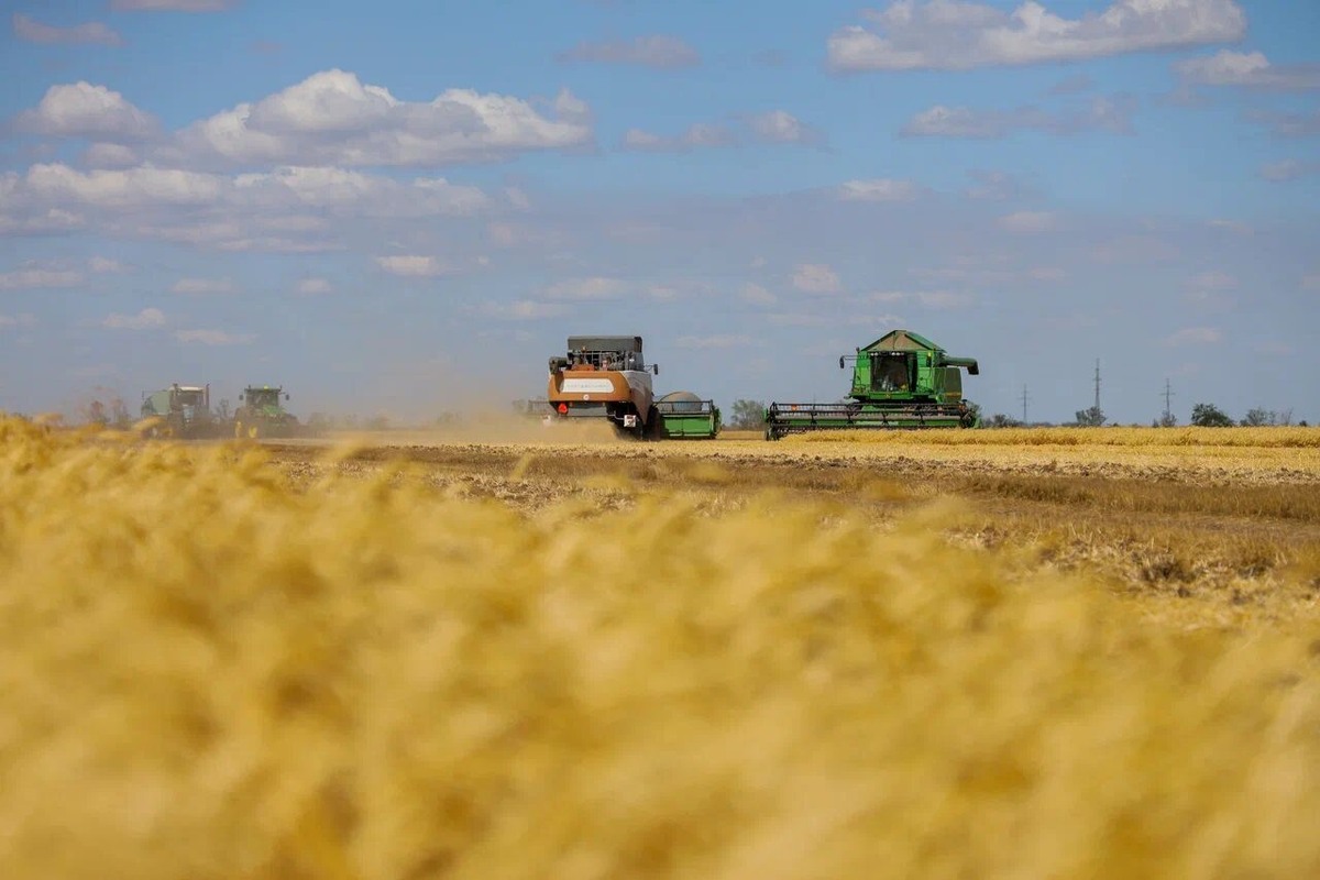    Фото: ТРК «Таврия»