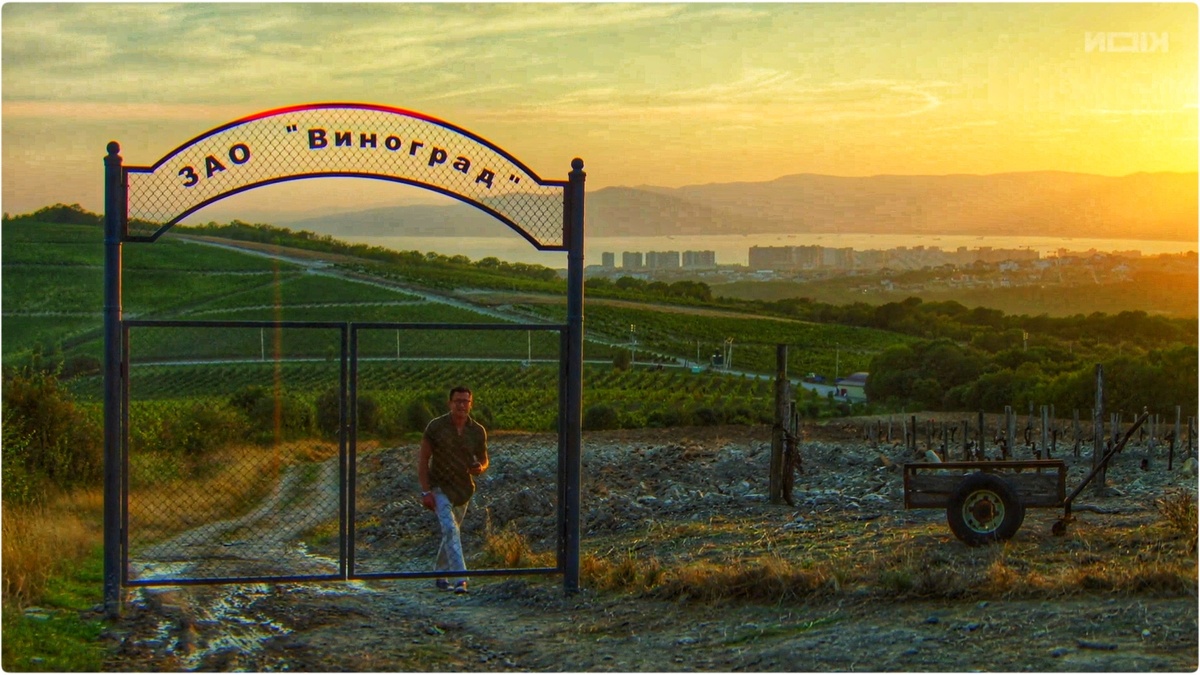 Кадр из фильма "Виноград" (12.09.2025)