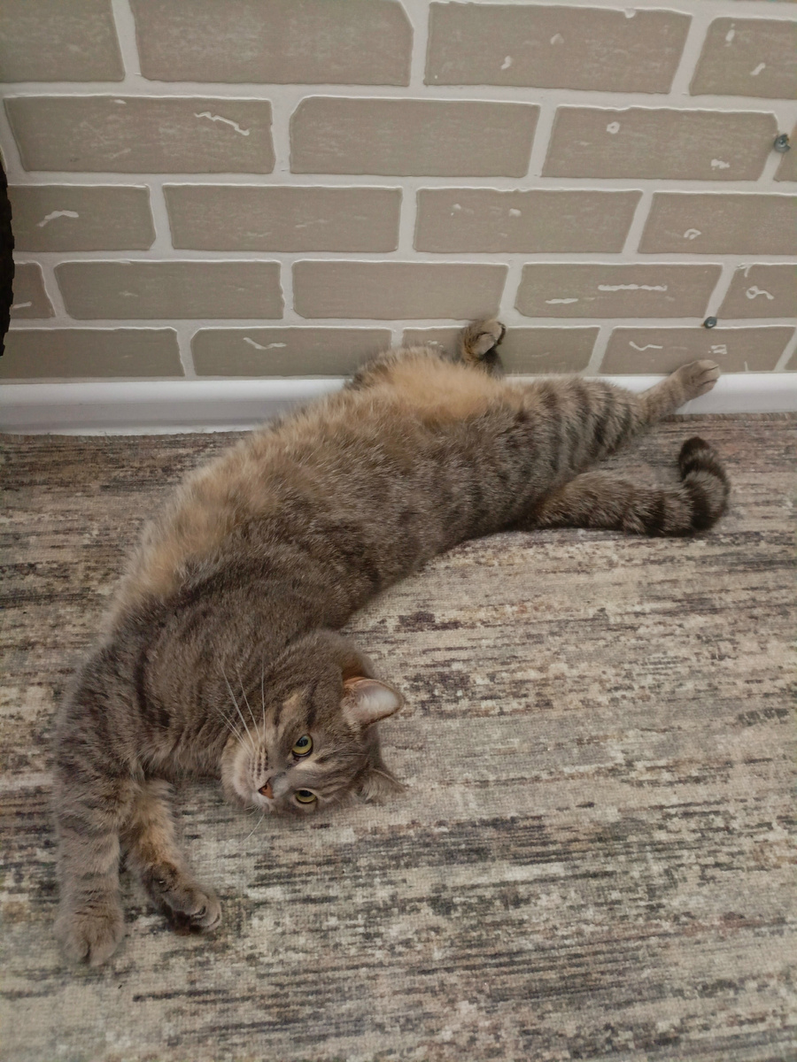 Фото автора.