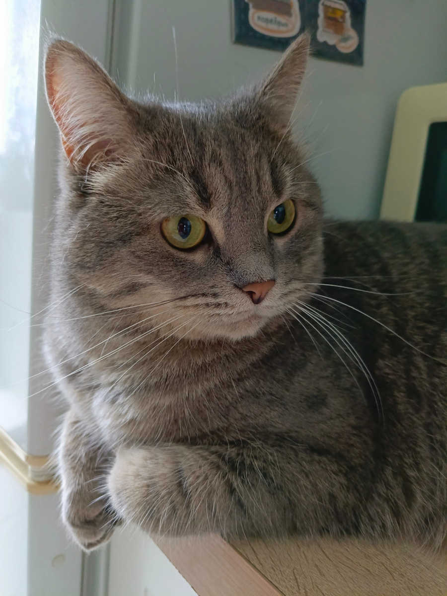 Фото автора.