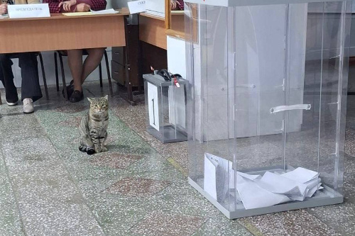    Фото: Новосибирский облизбирком / Телеграм