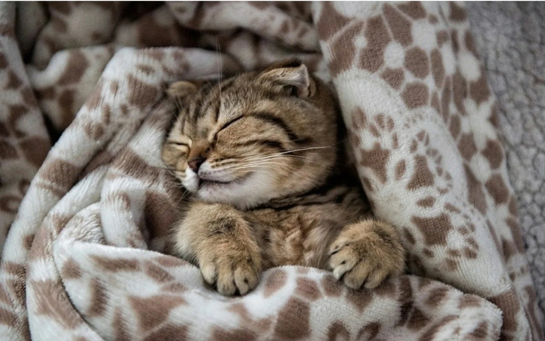 Фото из интернета