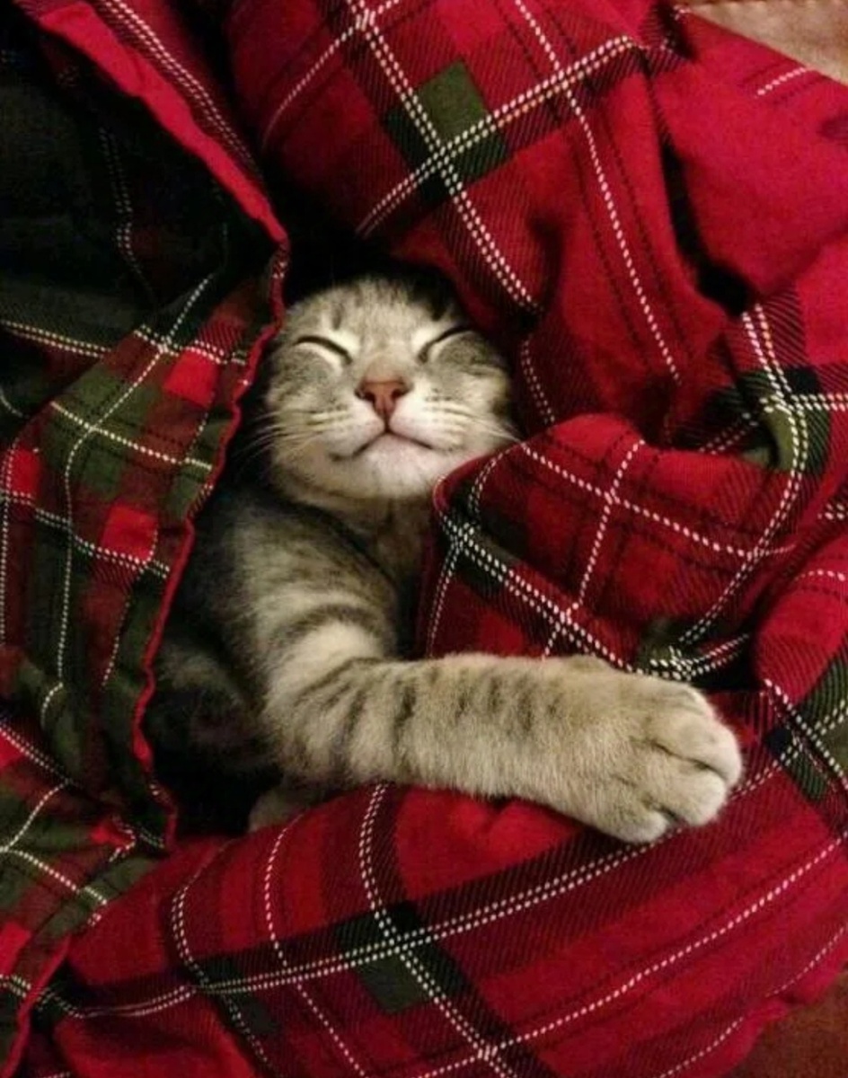 Фото из интернета