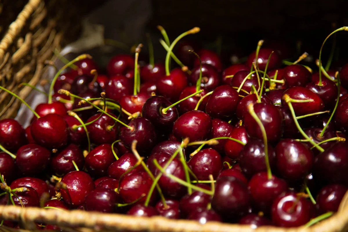    Фото: Общественная Служба Новостей