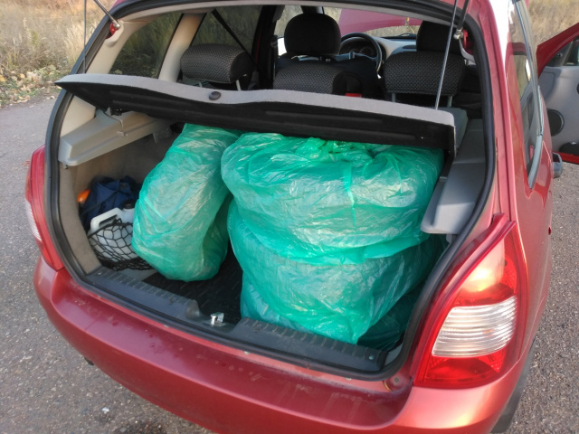 Когда переходить на зимние шины 2025: требования закона и штрафы