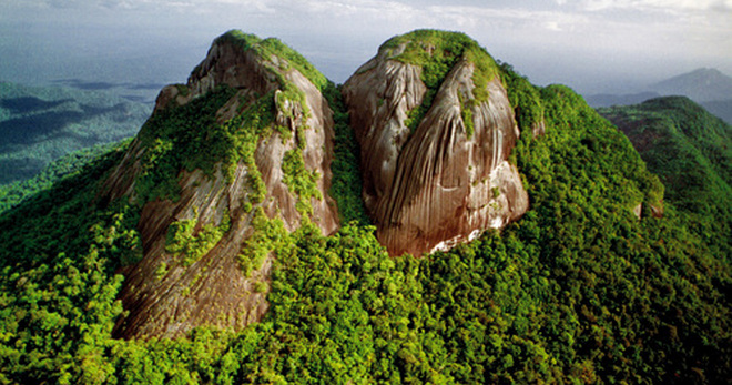 Фото с сайта https://womanadvice.ru/yuliana-surinam