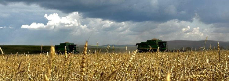    Фото: Минсельхоз Красноярского края