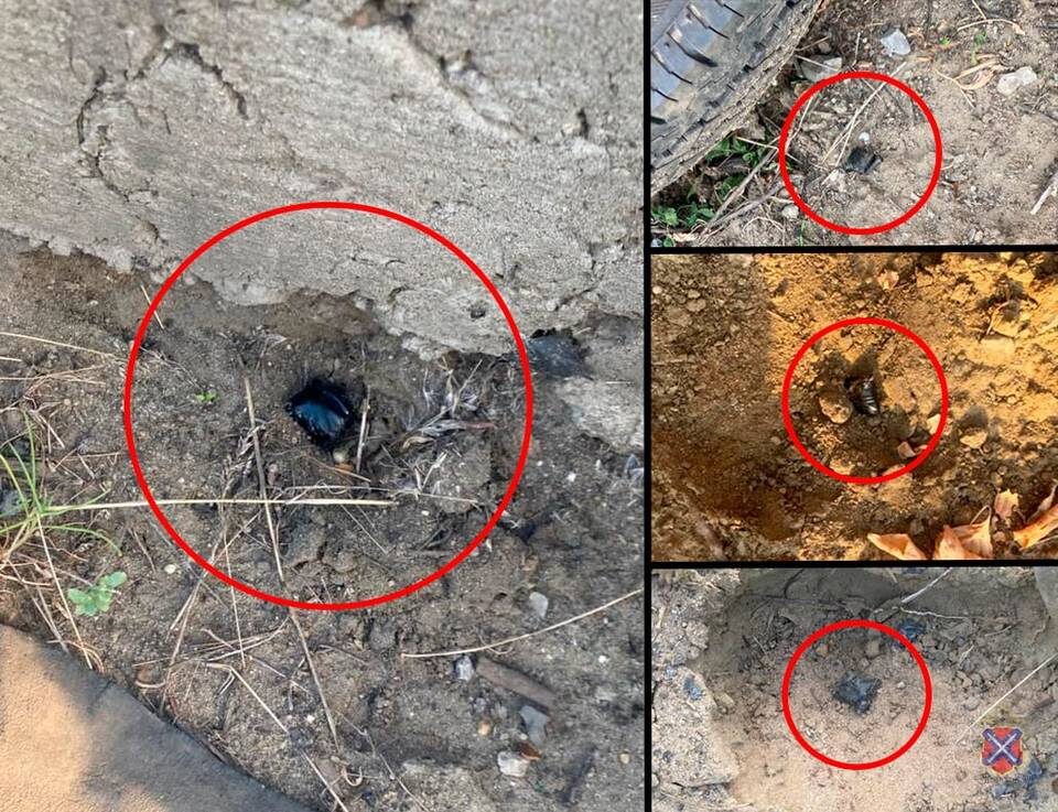    Фото: ГУ МВД по Волгоградской области