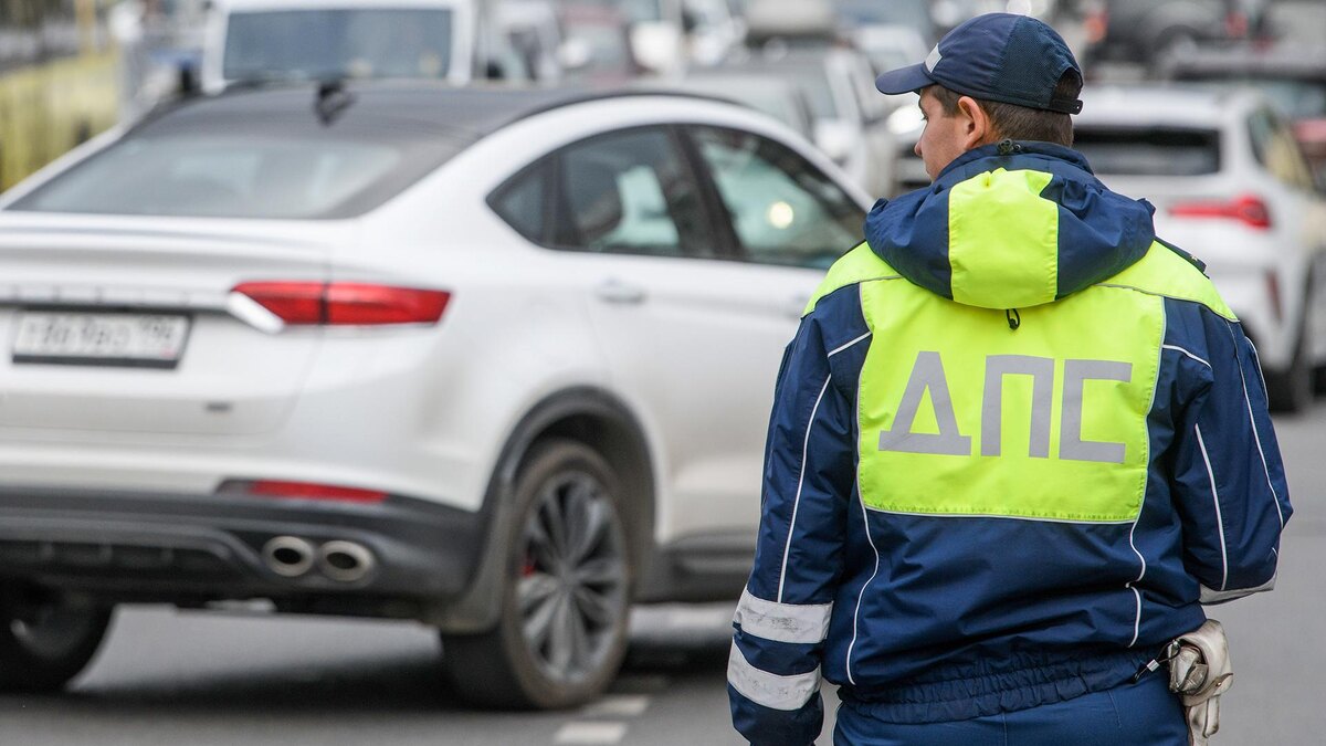    Фото: Ilya Moskovets/globallookpress.com