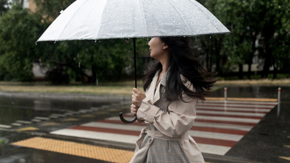    Фото: Yanya/Shutterstock/Fotodom