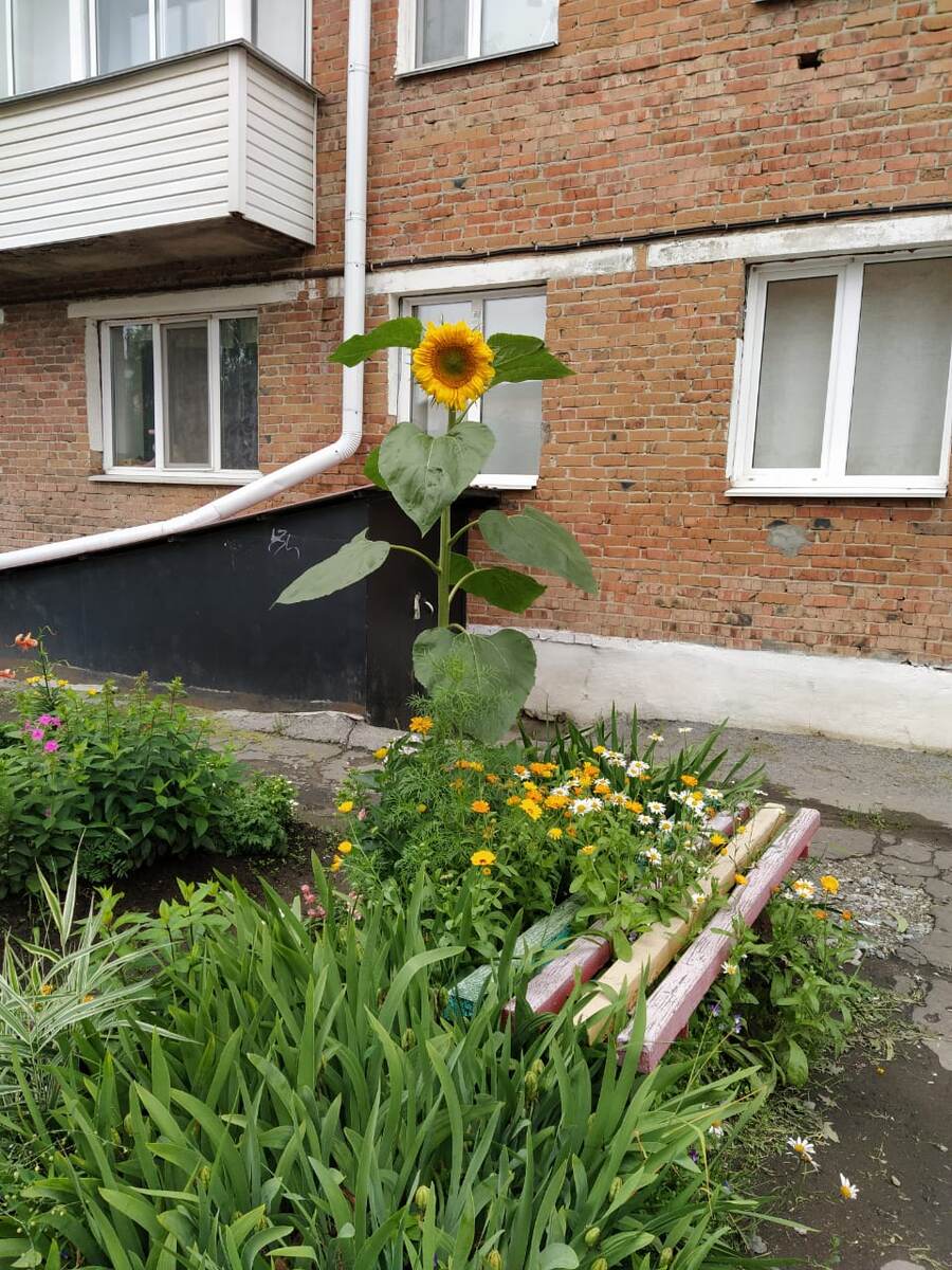 На фото не очень понятно