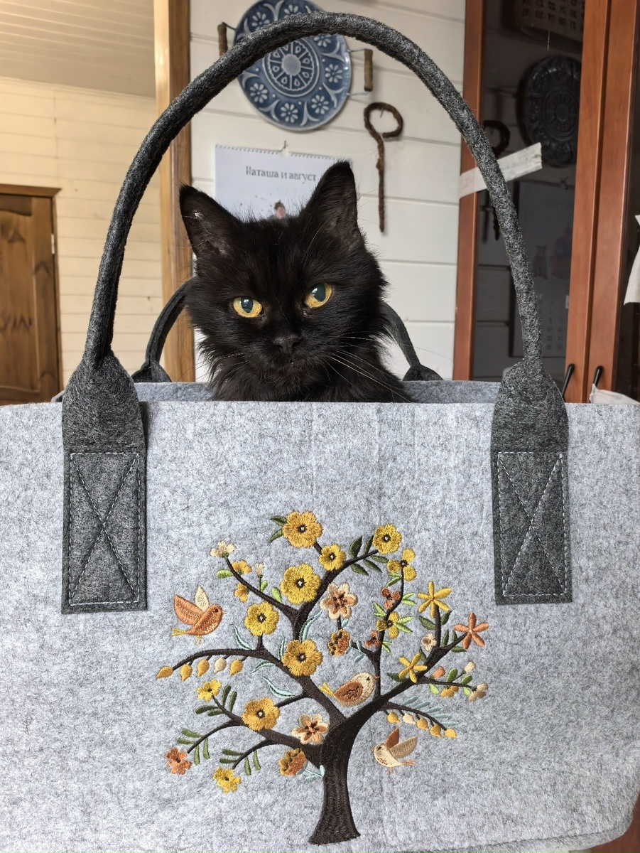 Даша и её новая сумка