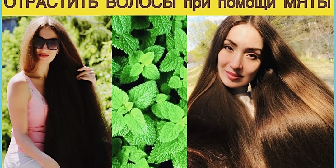 Мята☘️ ускорит рост волос. Как остановить выпадение и отрастить волосы. Натуральное средство для волос. Мой рецепт настоя.