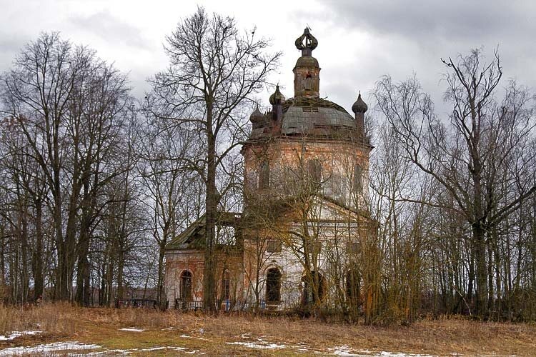 Сейчас луковки уже валяются на земле