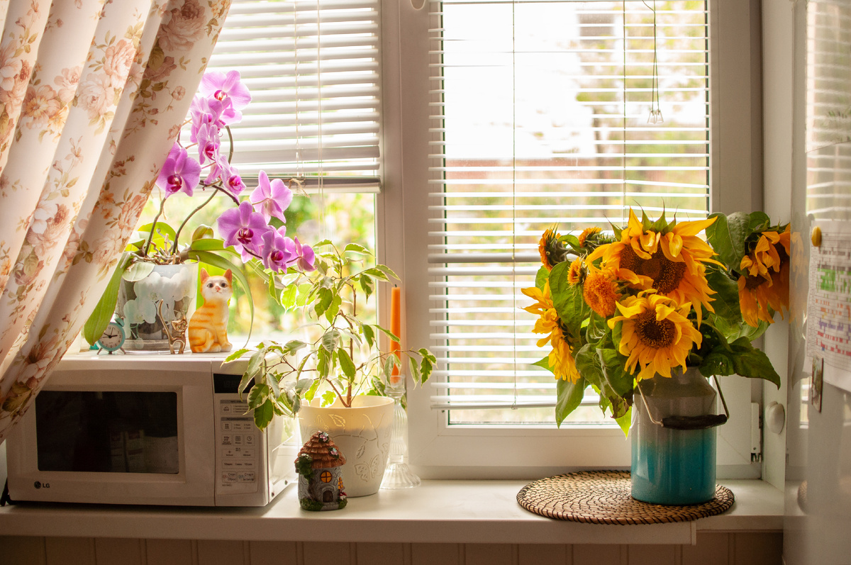 Личное фото