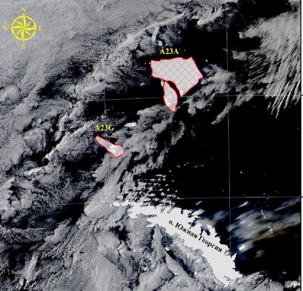     Фото: ААНИИ